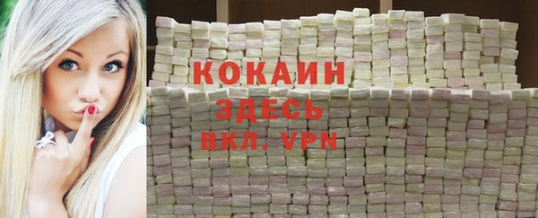 тгк Алзамай