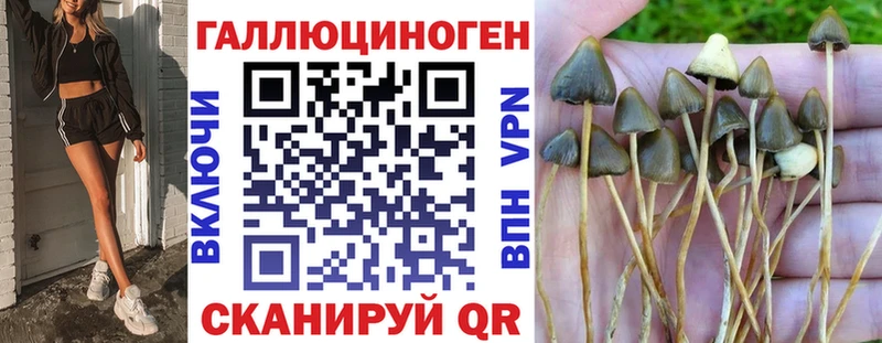 Галлюциногенные грибы мухоморы  гидра ссылки  Опочка 
